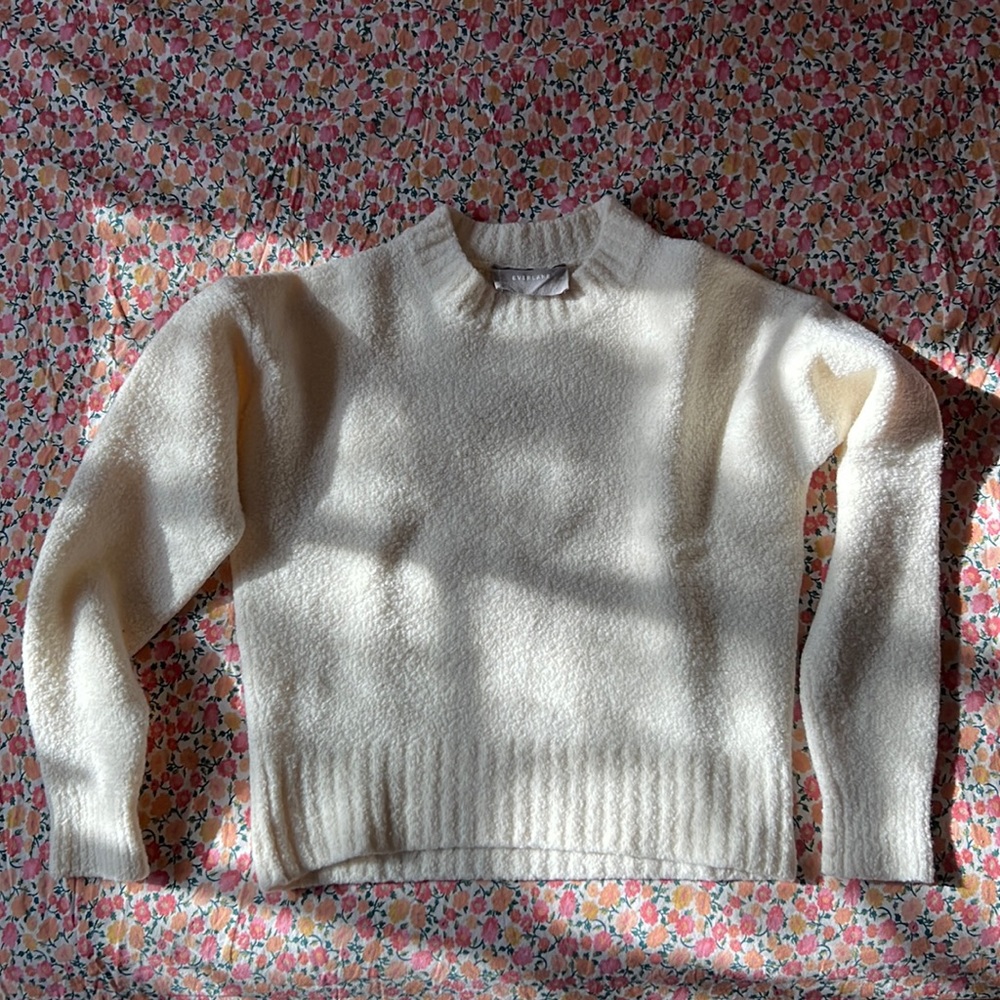 Everlane Fuzzy Wool Sweater